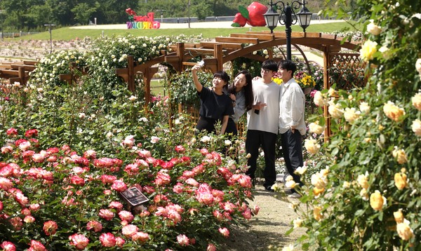 사진=임실군 제공