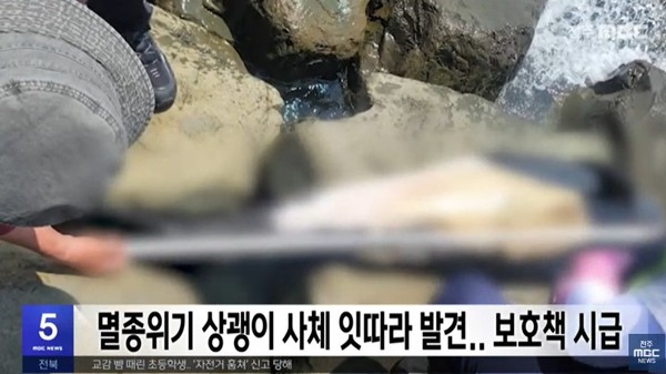 전주MBC 6월 10일 뉴스 화면(영상 갈무리)