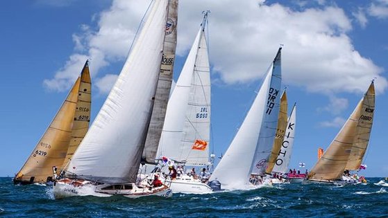 새만금컵 국제요트대회 모습.(사진=부안군 제공)