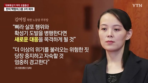 YTN 6월 10일 뉴스 화면(영상 갈무리)