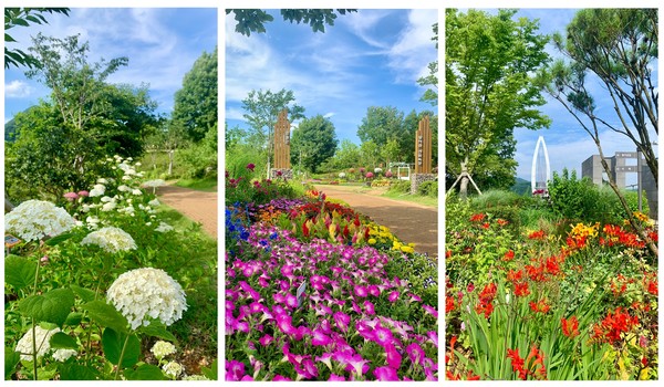 사진=임실군 제공