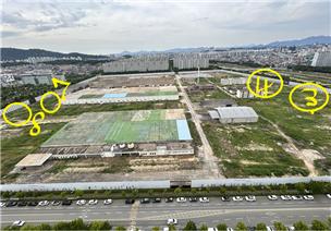 2024년 6월 30일 옛 대한방직 전주공장 부지 내 맹꽁이 출현 지점.(사진=전북환경운동연합 제공)