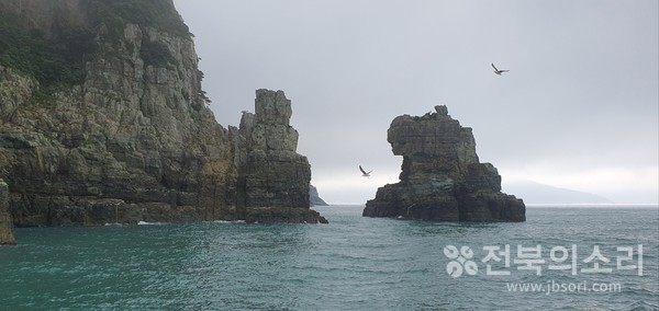 해금강을 지키는 갈매기떼.