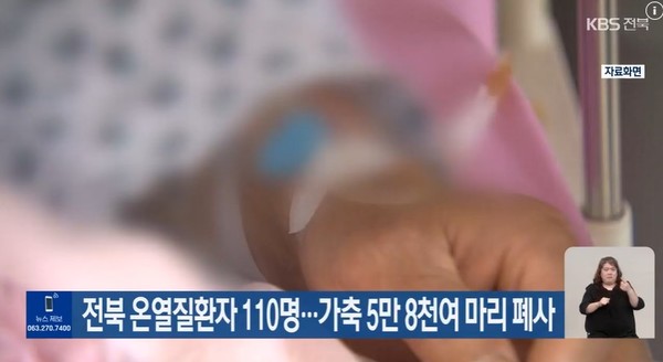 KBS전주총국 8월 7일 뉴스 화면(영상 갈무리)