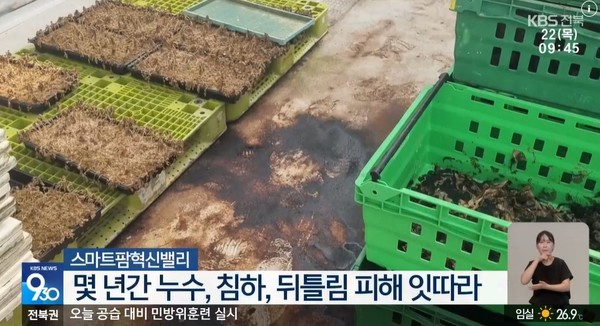 KBS전주총국 8월 22일 뉴스 화면(영상 갈무리)