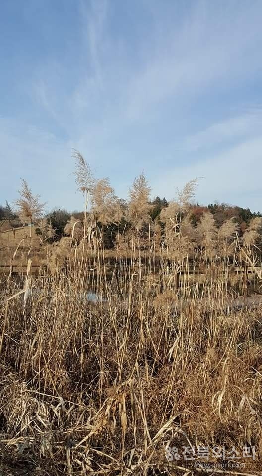 오늘 전북지역은 대체로 맑은 가운데 낮과 밤의 기온차가 크겠다.(전북의소리 자료사진) 