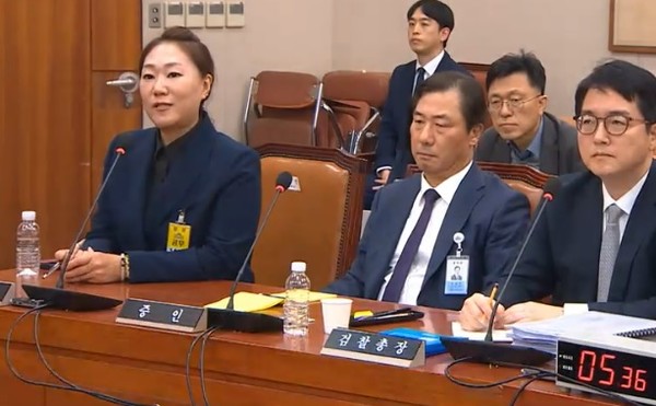 김건희 여사 공천개입 의혹 제보자인 강혜경 씨(사진 맨 왼쪽)가  21일 오후 국회 법제사법위원회 대검찰청 국정감사에 증인으로 출석해 증언을 했다.(자료사진)