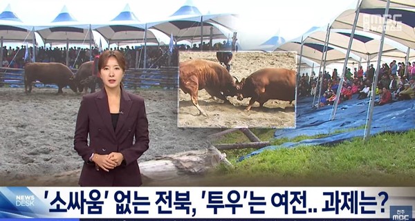 전주MBC 11월 3일 뉴스 화면(영상 갈무리)