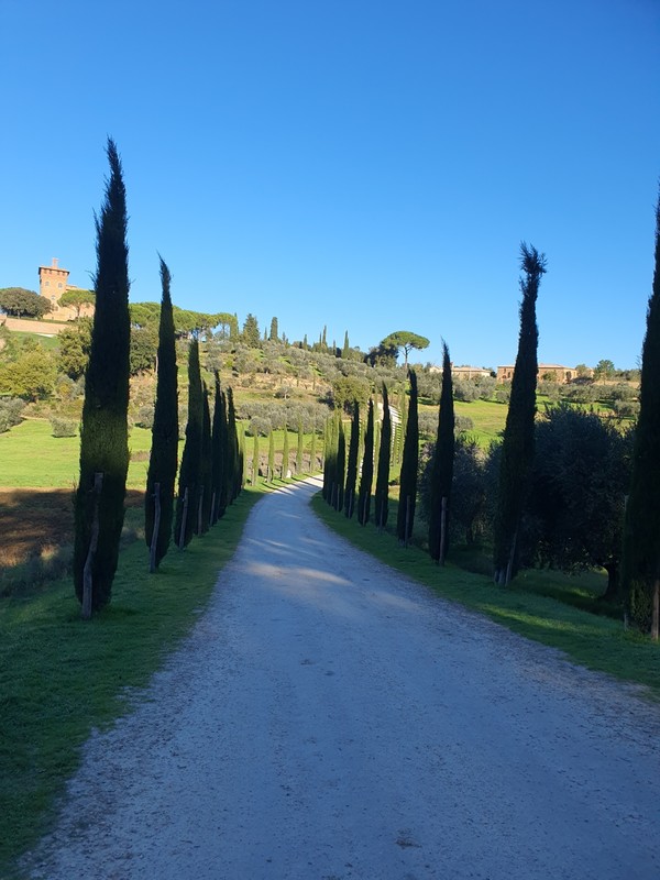 이탈리아 토스카나 주 시에나 현에 위치한 발도르차드 계곡 입구.