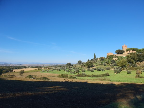 몬테풀차노 와이너리의 넓은 평원.