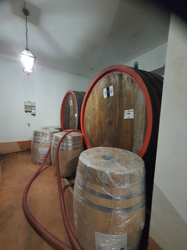 와이너리의 와인 생산지 내부 모습.