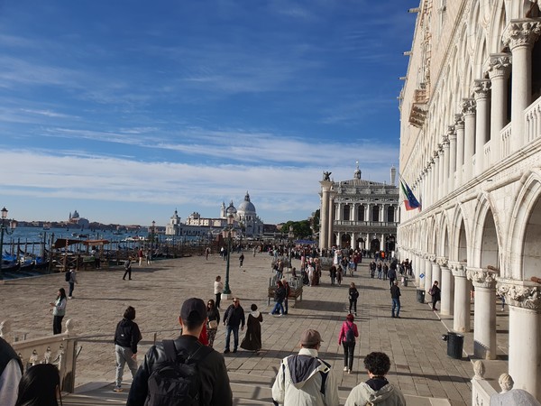 베네치아 '산 마르코 광장'의 활기 넘치는 모습들.(사진 위, 아래)
