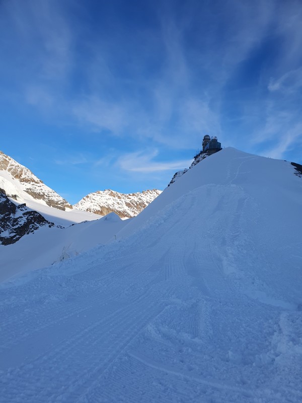 융프라우 전망대에서 바라본 알프스산 정상 모습들.(사진 위, 아래)