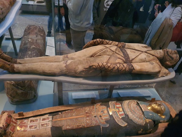영국 박물관에 전시된 고대 이집트 '미라' 모습들.