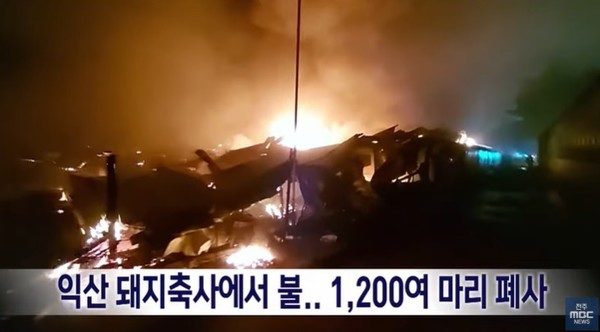 전주MBC 11월 24일 뉴스 화면(영상 갈무리)