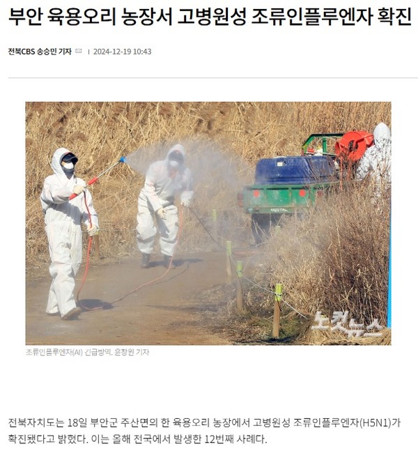 전북CBS노컷뉴스 12월 19일 기사(홈페이지 갈무리)