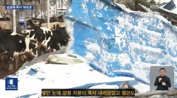 KBS전주총국 1월 30일 뉴스 화면(영상 갈무리)