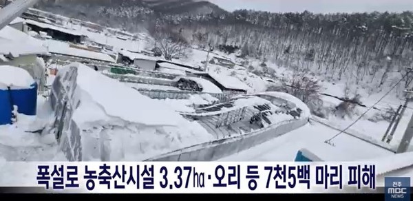 전주MBC 1월 30일 뉴스 화면(영상 갈무리)