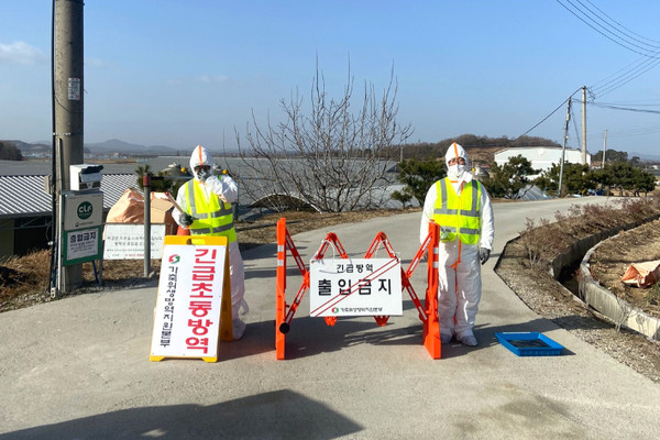 김제시 백산면 산란계농장에서 검출된 H5형 조류인플루엔자(AI) 항원이 10일 고병원성으로 밝혀졌다.(자료사진=전북자치도 제공)