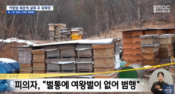 전주MBC 1월 31일 뉴스 화면(영상 갈무리)