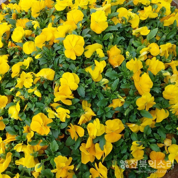 오늘 전북지역은 대기가 건조한 가운데 대체로 맑겠다.(전북의소리 자료사진)