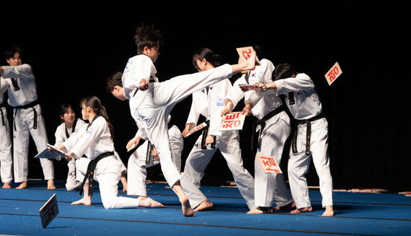 전북대학교가 지난 17일 오후 3시 삼성문화회관 영산홀에서 청렴 주제 특강과 태권도 공연을 개최했다.(사진=전북대 제공)