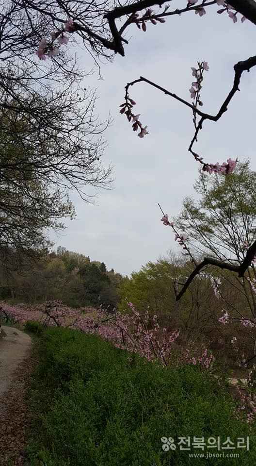 오늘 전북지역은 대체로 맑은 가운데 대기가 건조하고 낮과 밤의 기온차가 크겠다.(전북의소리 자료사진) 