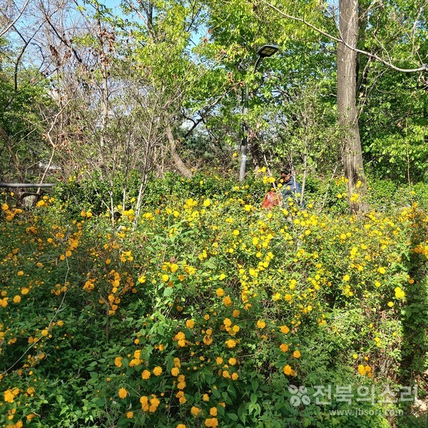 오늘 전북지역은 맑은 가운데 대기가 건조하고 동부지역을 중심으로 강한 바람이 불겠다.(전북의소리 자료사진) 