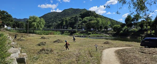 사본 -20250727_한벽당 수변모두베기 작업사진