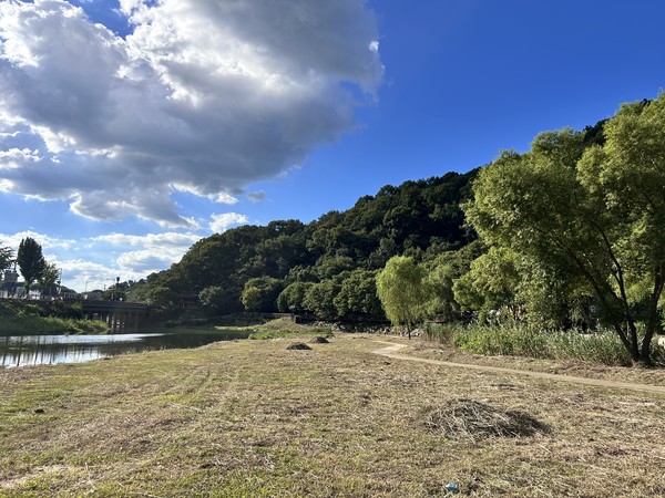 전주천 상류의 한벽당 수변 '모두 베기' 작업이 한창 진행 중인 모습(위)과 '모두 베기' 작업이 완료된 모습(아래, 사진=전북환경운동연합 제공)