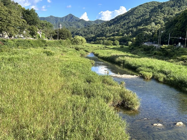 한벽당 상류 수변 경관.(사진=전북환경운동연합 제공)