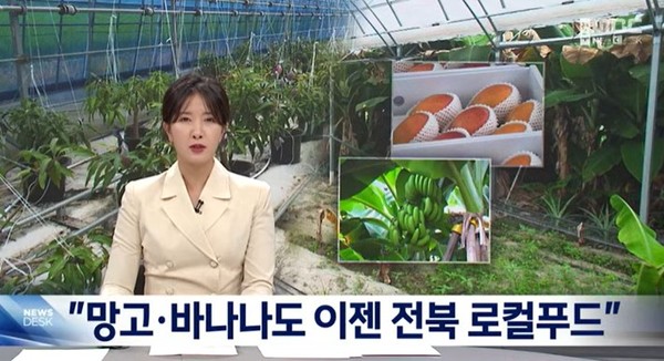 전주MBC 17일 뉴스 화면(영상 갈무리)