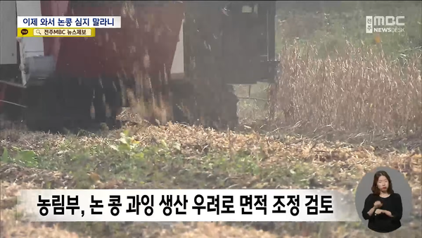 8월 19일 자 전주MBC 뉴스데스크 보도 화면 편집