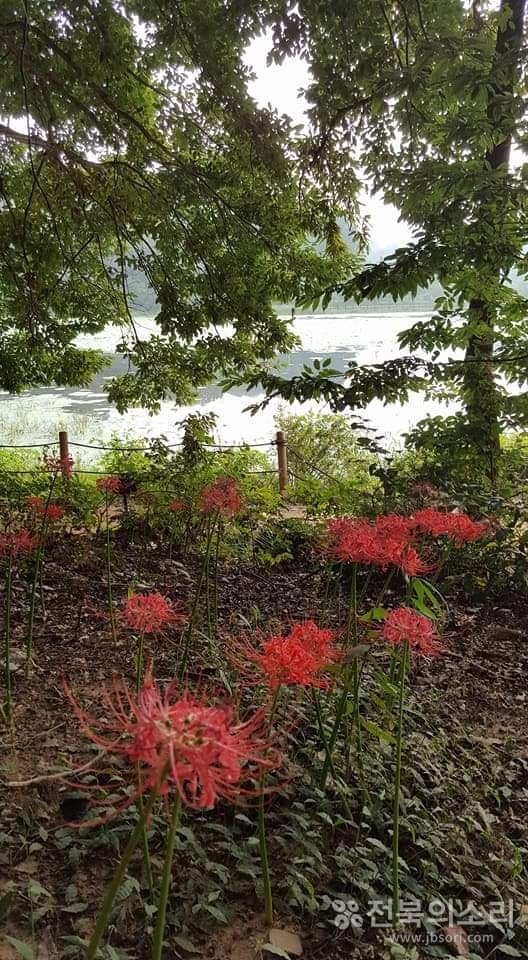 오늘 전북지역은 가끔 구름이 많은 가운데 낮과 밤의 기온차가 크겠다.(전북의소리 자료사진)