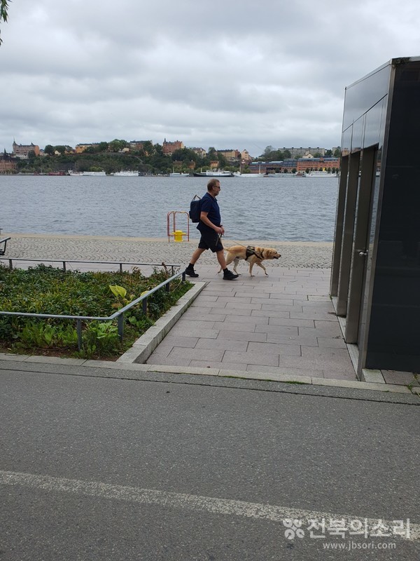 반려견과 함께 산책 겸 쇼핑하러 가는 시민 모습.