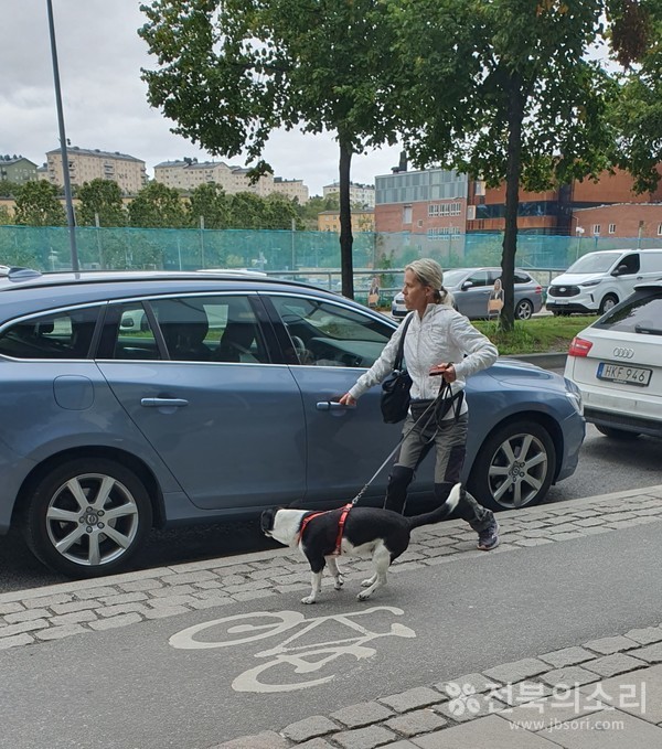 우리나라와는 달리 동물복지법이 발달한 스웨덴은 정기적 산책, 놀이 시간, 사회적 교류까지 법적으로 규정돼 있다.