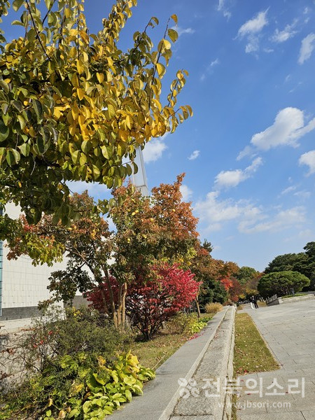 오늘 전북지역은 대체로 맑은 가운데 예년과 같은 '수능 한파'는 없지만 오전까지 짙은 안개가 끼고 낮과 밤의 기온차가 크겠다.(전북의소리 자료사진)