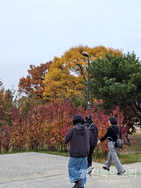 오늘 전북지역은 오전까지 짙은 안개가 끼고 대체로 맑은 가운데 낮과 밤의 기온차가 크겠다.(전북의소리 자료사진) 