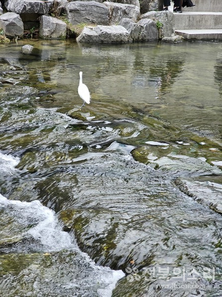 오늘 전북지역은 가끔 구름이 많다가 밤부터 흐려진 뒤 늦은 밤부터 내일 이른 새벽 사이 곳에 따라 가끔 비가 내리겠다.(전북의소리 자료사진)