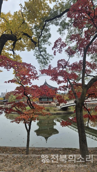 고즈넉헌 가을 정취가 물씬 풍기는 경복궁 향원정.