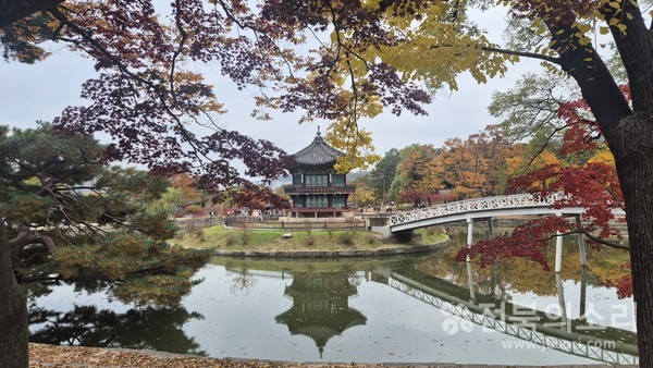 단풍이 곱게 물든 경복궁 향원정 전경.