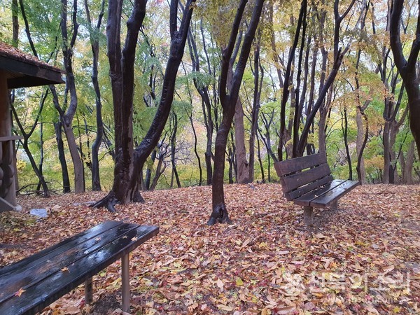 오늘 전북지역은 대체로 흐리고 곳에 따라 비 또는 눈이 내리겠다.(전북의소리 자료사진)