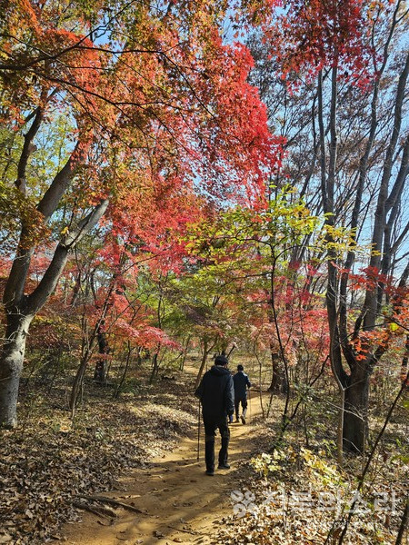 오늘 전북지역은 대체로 흐리고 낮과 밤의 기온차가 크겠다.(전북의소리 자료사진) 