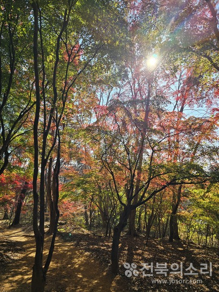 오늘 전북지역은 가끔 구름이 많은 가운데 낮과 밤의 기온차가 크겠다.(전북의소리 자료사진)