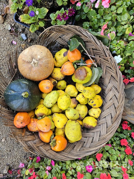 오늘 전북지역은 대체로 흐린 가운데 낮과 밤의 기온차가 크겠다.(전북의소리 자료사진)
