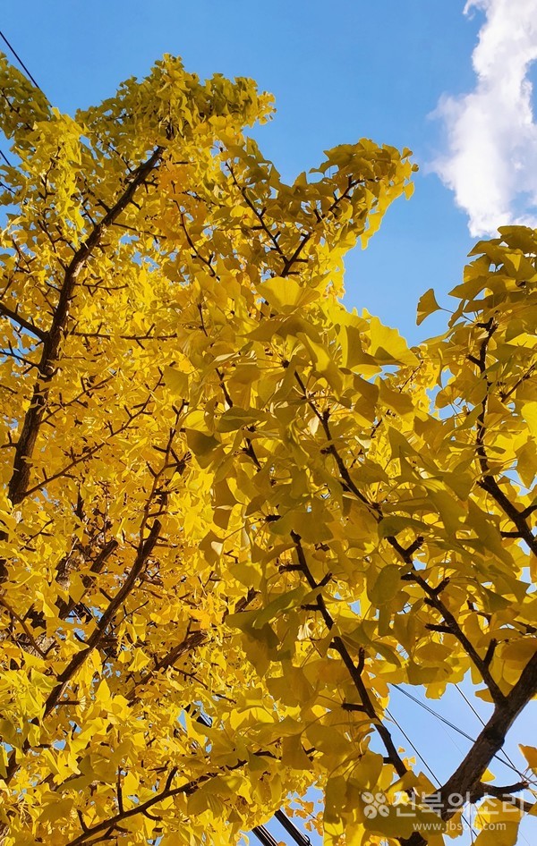 오늘 전북지역은 대체로 흐리다가 오후부터 차차 맑아지겠다.(전북의소리 자료사진) 